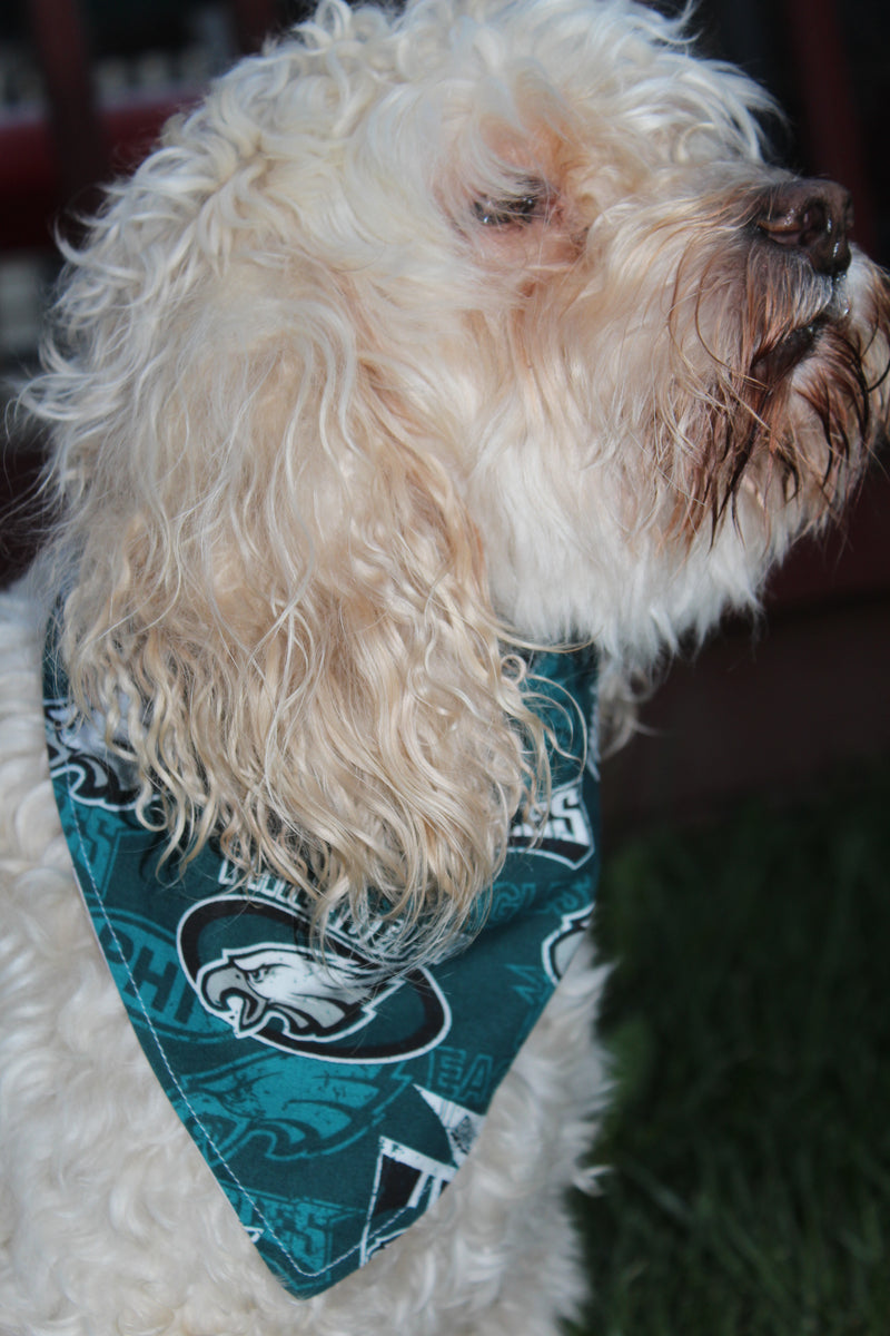 Philadelphia Eagles Over the Collar Dog Bandana NFL Football 