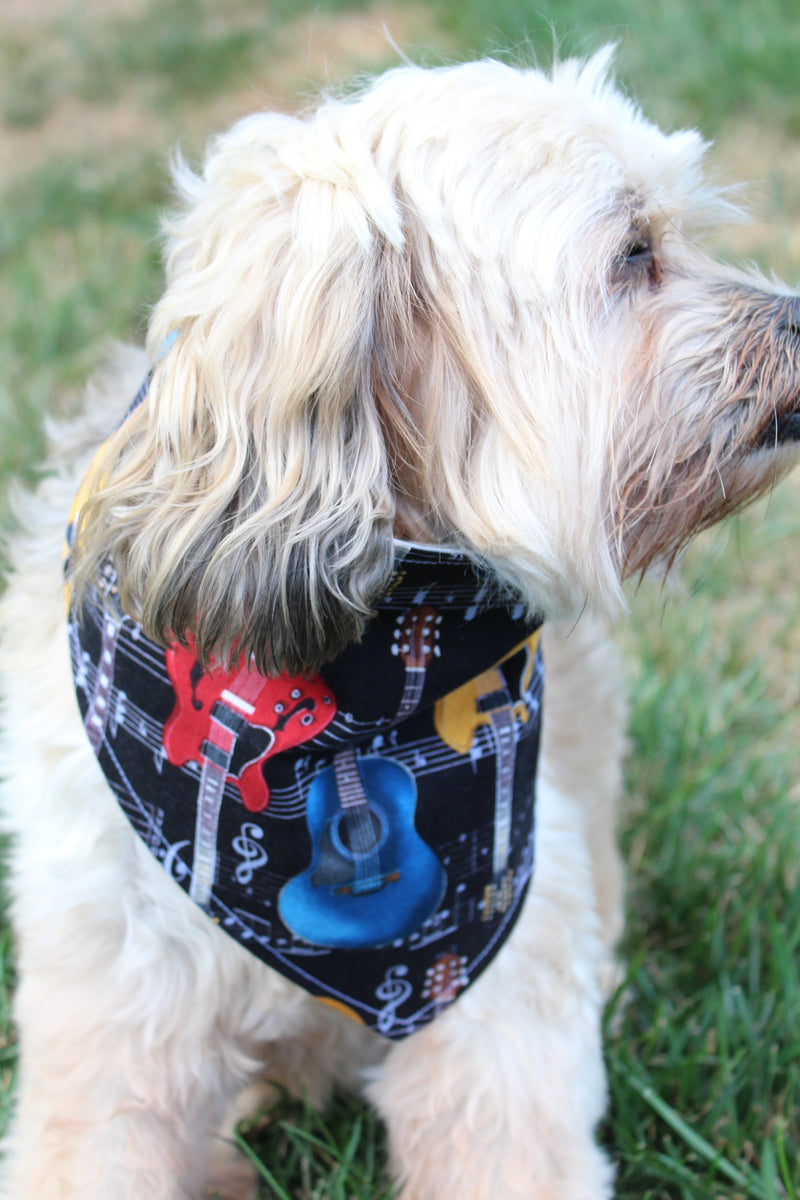 Philly Eagles Dog Bandana – Sew Much Cooler