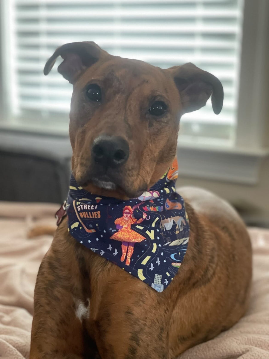 Dog Bandanas – Sew Much Cooler