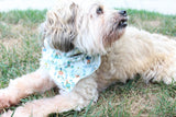 Nutcracker Dog Bandana