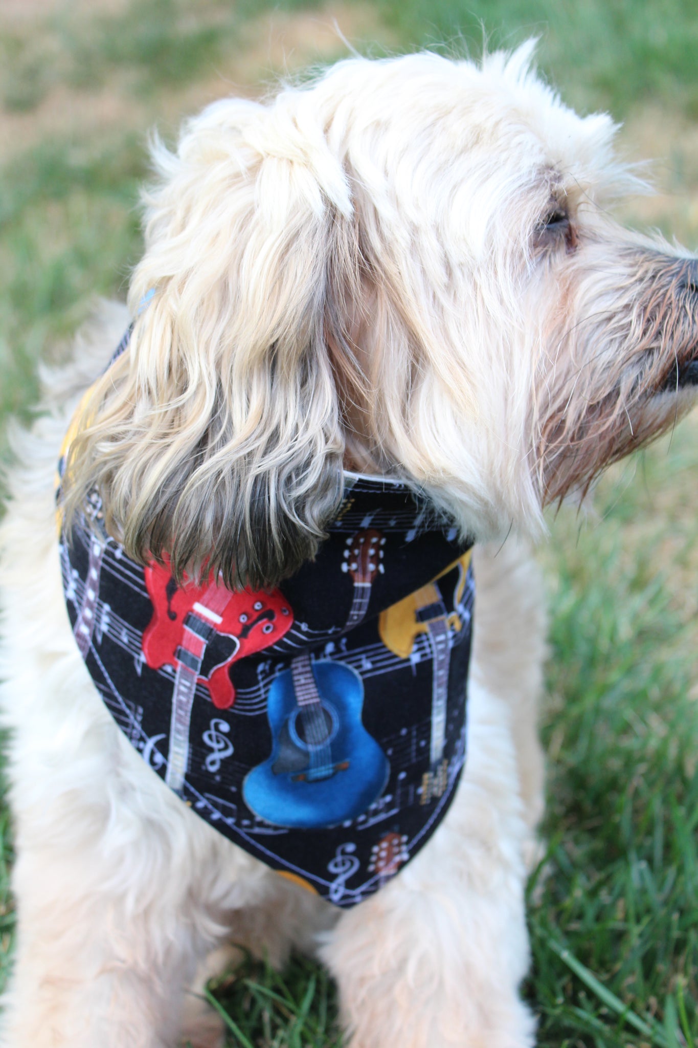 Dog Bandanas – Sew Much Cooler