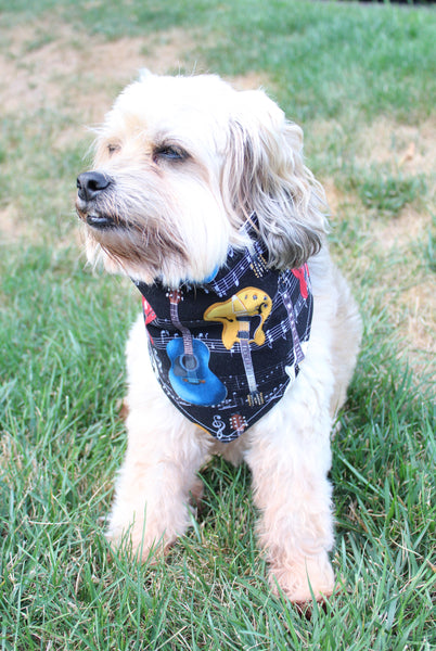 Philly Eagles Dog Bandana – Sew Much Cooler